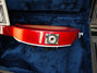 Rickenbacker 350/6 Liverpool, Fireglo: Close up - Free