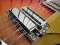 Rickenbacker 660/12 , Fireglo: Close up - Free