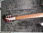 Rickenbacker 331/6 Lightshow, Burgundy: Neck - Front