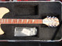 Rickenbacker 360/12 , Mapleglo: Neck - Front