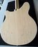 Nov 2008 Rickenbacker 360/6 , Mapleglo: Body - Rear