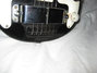 Rickenbacker B/6 LapSteel, Black: Close up - Free2