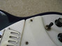 Rickenbacker 366/12 , Azureglo: Free image2