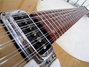Rickenbacker 330/12 , Mapleglo: Neck - Front
