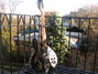 Rickenbacker 360/12 , Jetglo: Free image