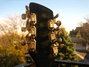 Rickenbacker 360/12 , Jetglo: Headstock - Rear