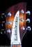 Rickenbacker 360/6 , MonteBrown: Headstock