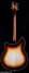 Rickenbacker 360/6 , MonteBrown: Full Instrument - Rear