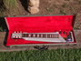 Rickenbacker 100/6 LapSteel, Gray: Full Instrument - Front