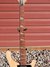 Rickenbacker 4003/4 SPC, Mapleglo: Neck - Front