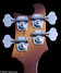 Rickenbacker 4003/4 , Autumnglo: Headstock - Rear