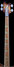 Rickenbacker 4003/4 , Autumnglo: Neck - Front