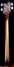 Rickenbacker 4003/4 , Autumnglo: Neck - Rear