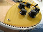 Rickenbacker 660/12 , Mapleglo: Free image2