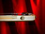 Rickenbacker SW/6 LapSteel, Blonde: Close up - Free2
