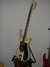 Rickenbacker 481/6 Slant Fret, Cream: Free image