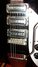 Rickenbacker 1996/6 RoMo, Fireglo: Free image