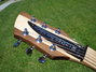 Rickenbacker 650/6 Sierra, Natural: Headstock