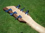 Rickenbacker 650/6 Sierra, Natural: Headstock - Rear