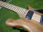 Rickenbacker 650/6 Sierra, Natural: Neck - Front