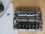 Rickenbacker 360/12 , Mapleglo: Close up - Free2