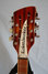 Rickenbacker 360/12 , Fireglo: Headstock