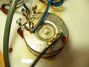 Rickenbacker 4001/4 V63, Mapleglo: Close up - Free2