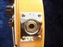 Rickenbacker 345/6 , Natural: Close up - Free