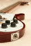Rickenbacker 4001/4 V63, Fireglo: Close up - Free