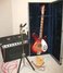Rickenbacker 365/6 , Fireglo: Full Instrument - Front