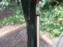Rickenbacker 4001/4 , Jetglo: Neck - Rear