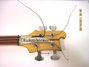 Rickenbacker 4001/4 , Mapleglo: Headstock