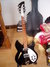 Rickenbacker 330/6 , Jetglo: Full Instrument - Front