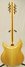 Rickenbacker 381/12 V69, Mapleglo: Full Instrument - Rear