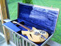 Rickenbacker 330/6 , Mapleglo: Free image