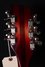 Rickenbacker 360/12 V64, Fireglo: Headstock - Rear