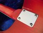 Rickenbacker 481/6 Slant Fret, Fireglo: Free image