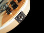Rickenbacker 660/12 , Mapleglo: Close up - Free