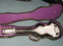 Rickenbacker 59/6 LapSteel, Gray Sunburst: Full Instrument - Front