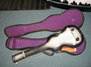Rickenbacker 59/6 LapSteel, Gray Sunburst: Close up - Free2