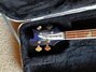 Rickenbacker 4003/4 , Blueburst: Close up - Free2