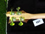 Rickenbacker 4003/4 , Mapleglo: Headstock - Rear