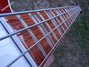 Rickenbacker 4003/4 , Fireglo: Free image2
