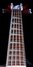 Rickenbacker 4003/5 Conversion, Fireglo: Neck - Front