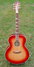Rickenbacker 700/6 Comstock, Fireglo: Full Instrument - Front
