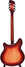 Rickenbacker 370/12 , Fireglo: Full Instrument - Rear