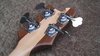 Rickenbacker 4003/4 , Mapleglo: Headstock - Rear