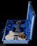 Rickenbacker 660/12 , Mapleglo: Close up - Free2