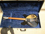 Rickenbacker 335/6 , Jetglo: Full Instrument - Front