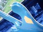 Rickenbacker 4001/4 , Azureglo: Neck - Rear